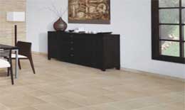 2009���ǌ��Ї�ÿһ����I(y��)�ġ�ȫ���w�z��