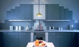 2009��N�l(w��i)��I(y��)�����U�����S����